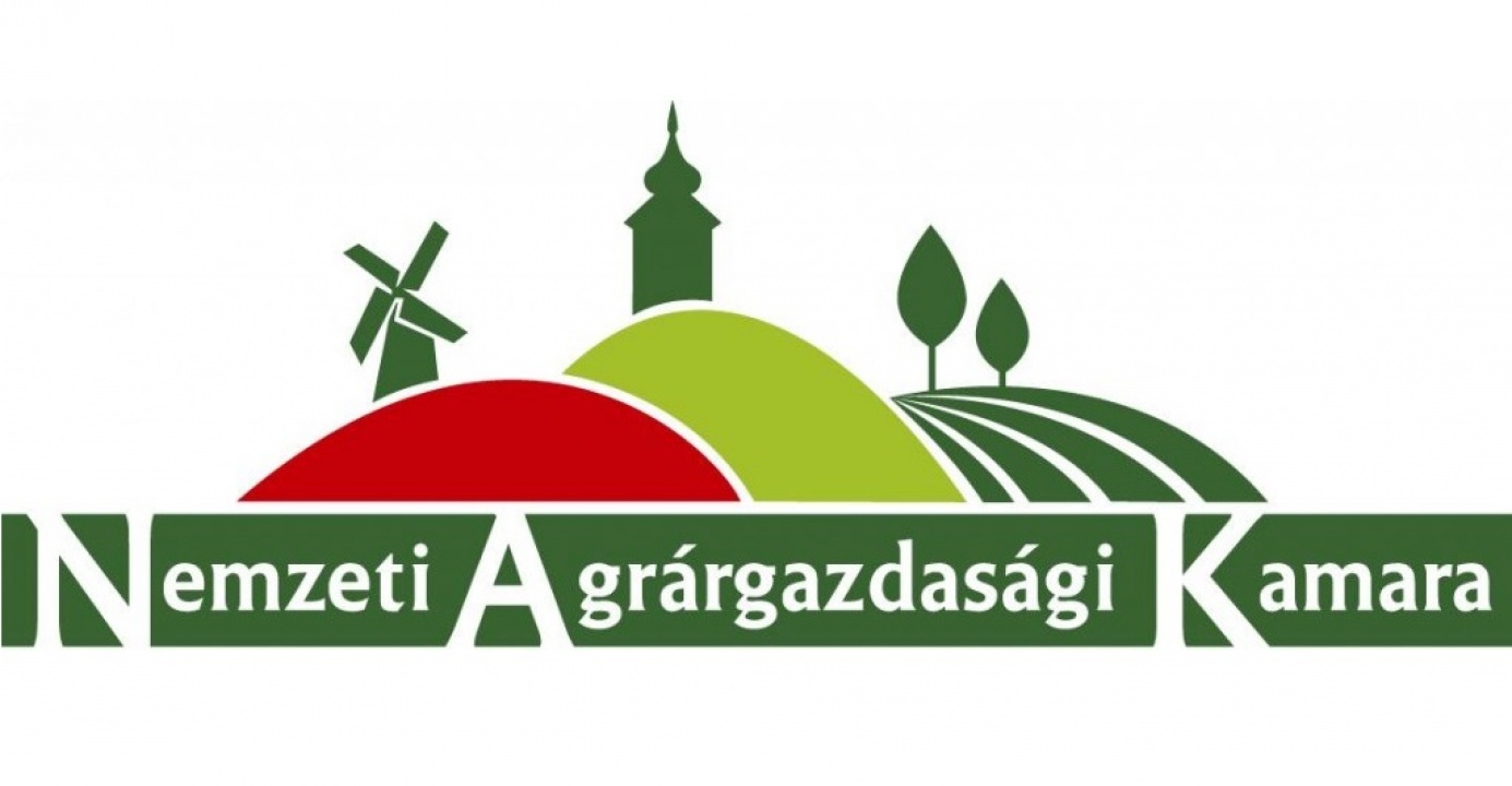 Vízügyi-vízjogi, eljárásrendi problémák