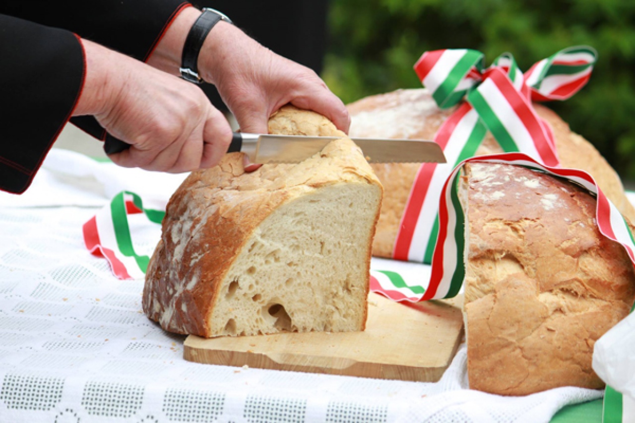 Tévéműsorok az ünnepre