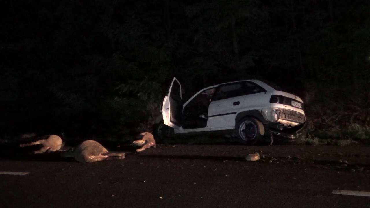 Tizenhat juh pusztult el