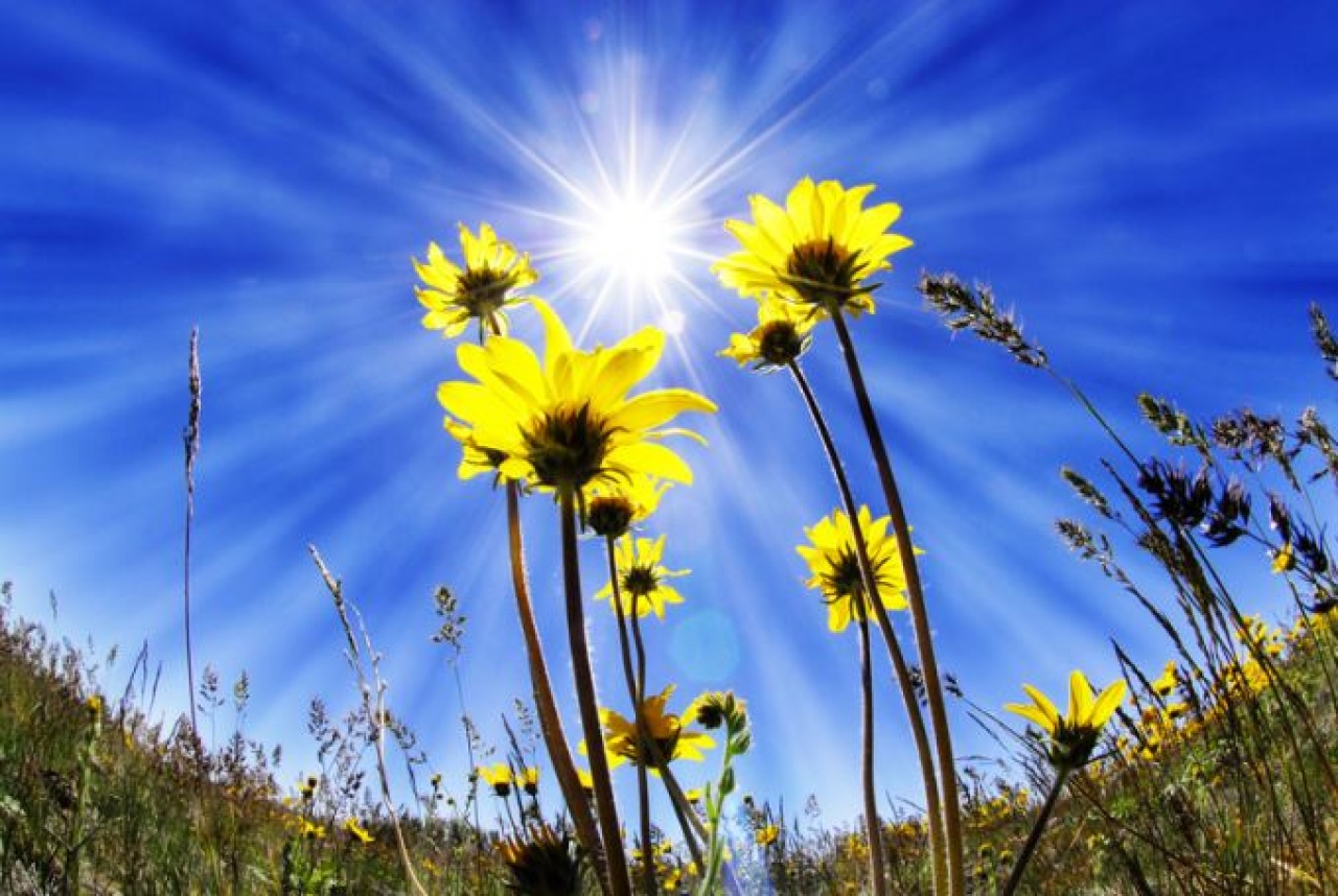 Három komoly hőségperiódus volt a nyáron