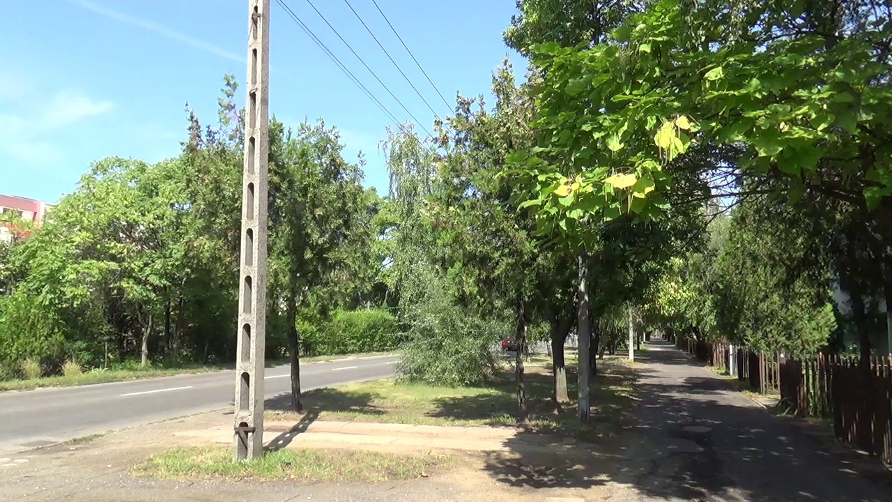 Gallyazási és faápolási munkálatok