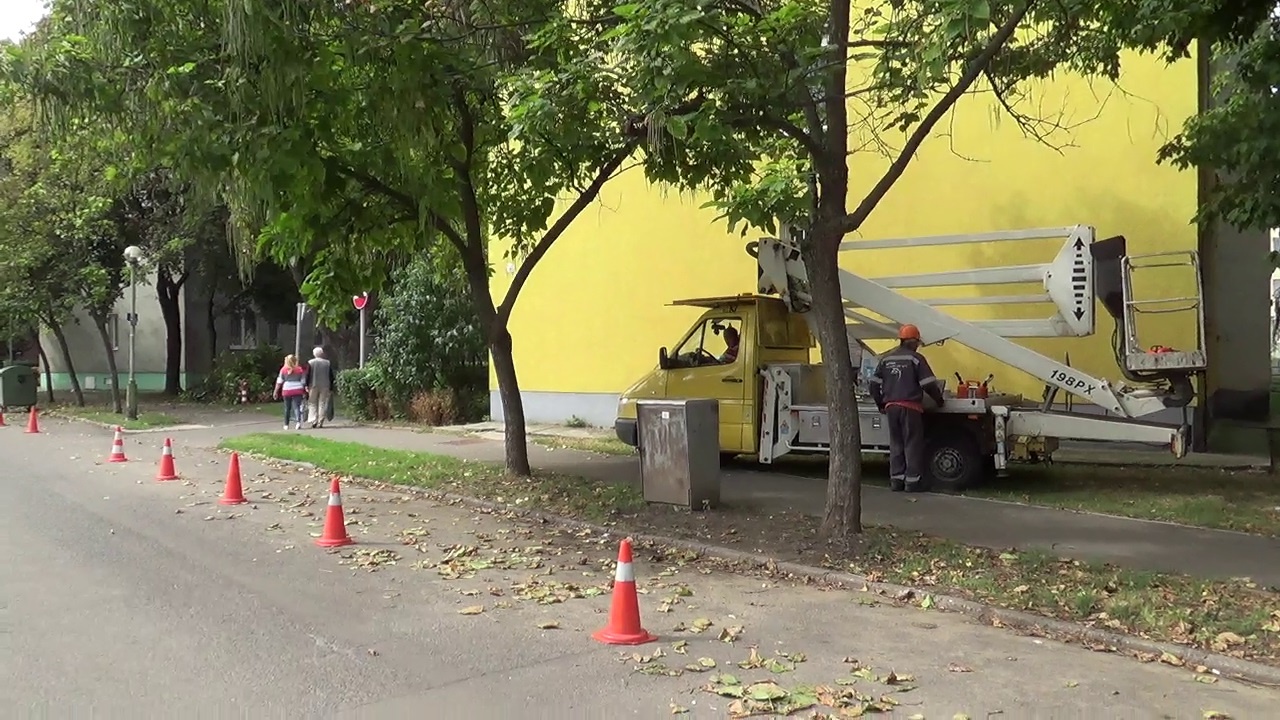 Gallyazás a Tompa Mihály utcán