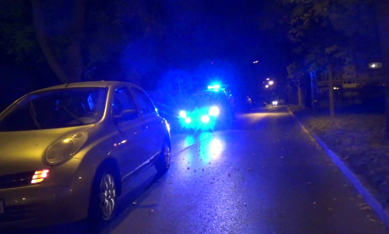 KRESZ táblának, majd fának ütközött