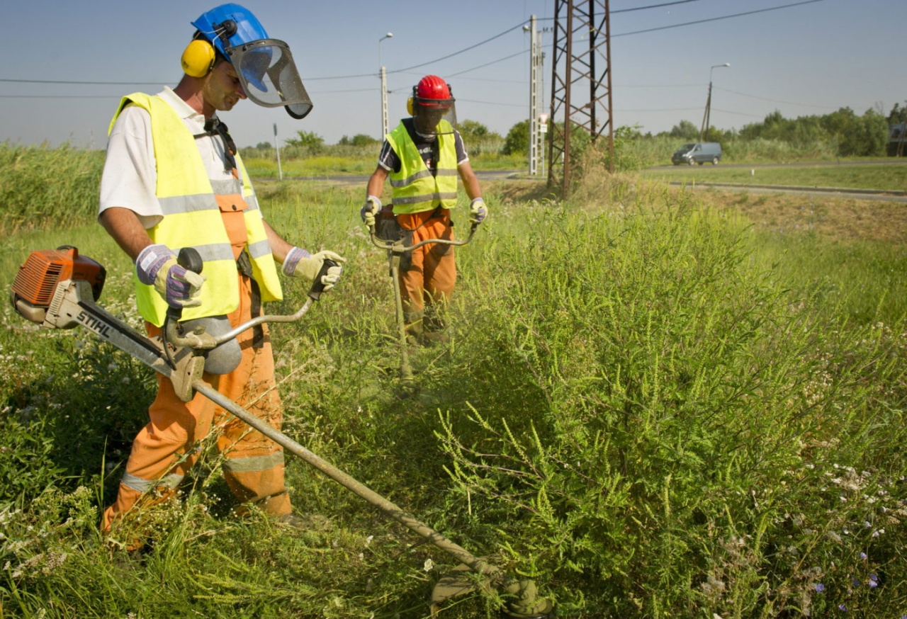 Milliárdokba kerül az allergia