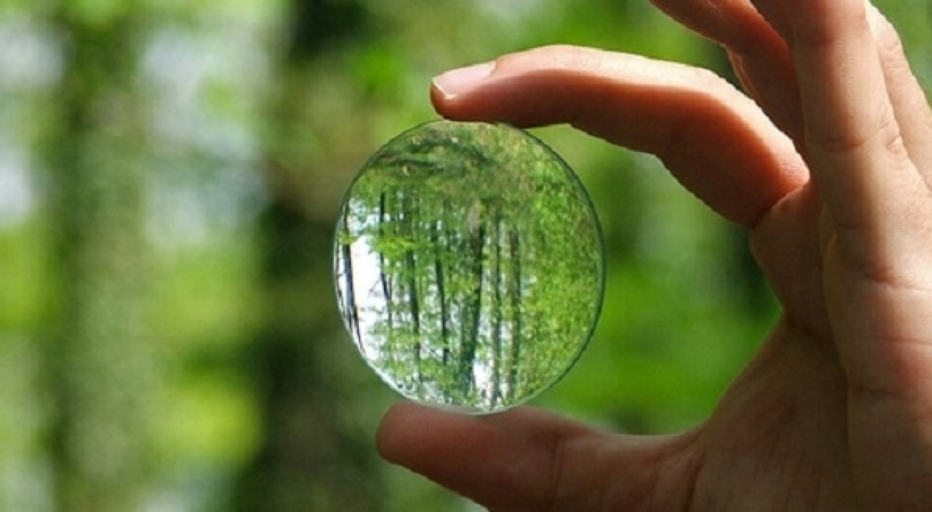 Támogatás közösségi komposztáláshoz