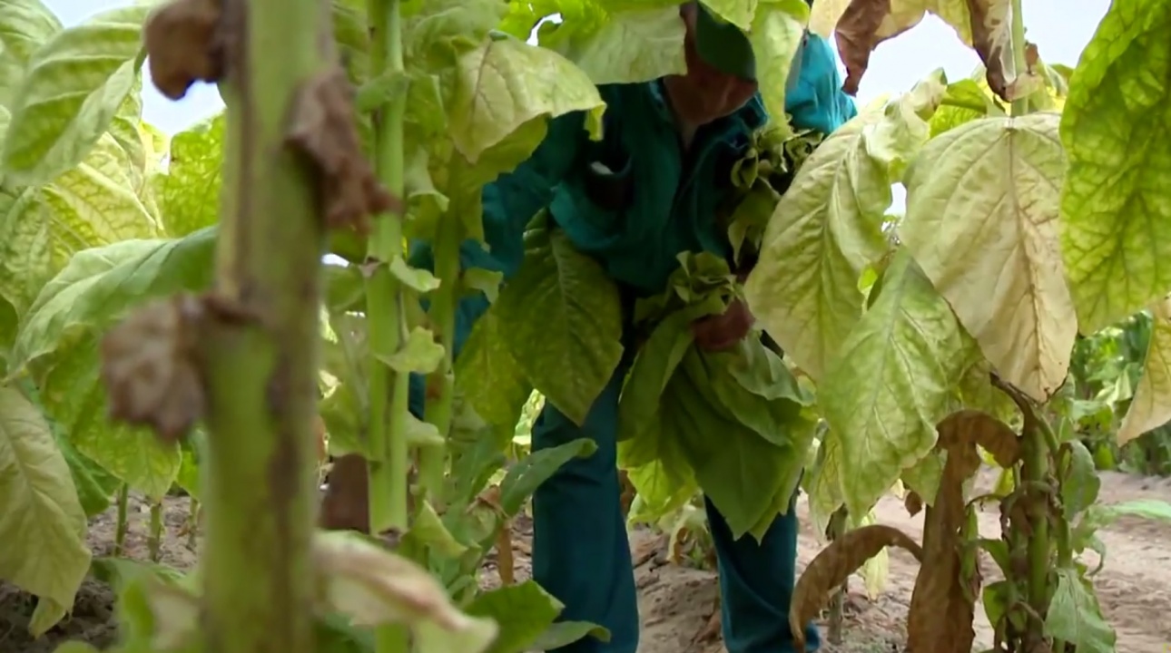 Jó hír a gazdáknak