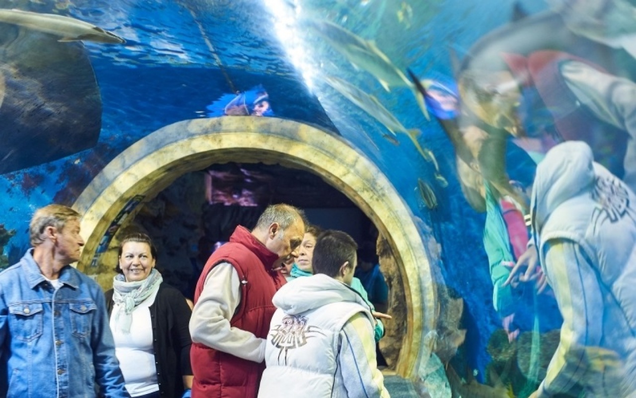 Ez a mi napunk – egészségnap az állatparkban