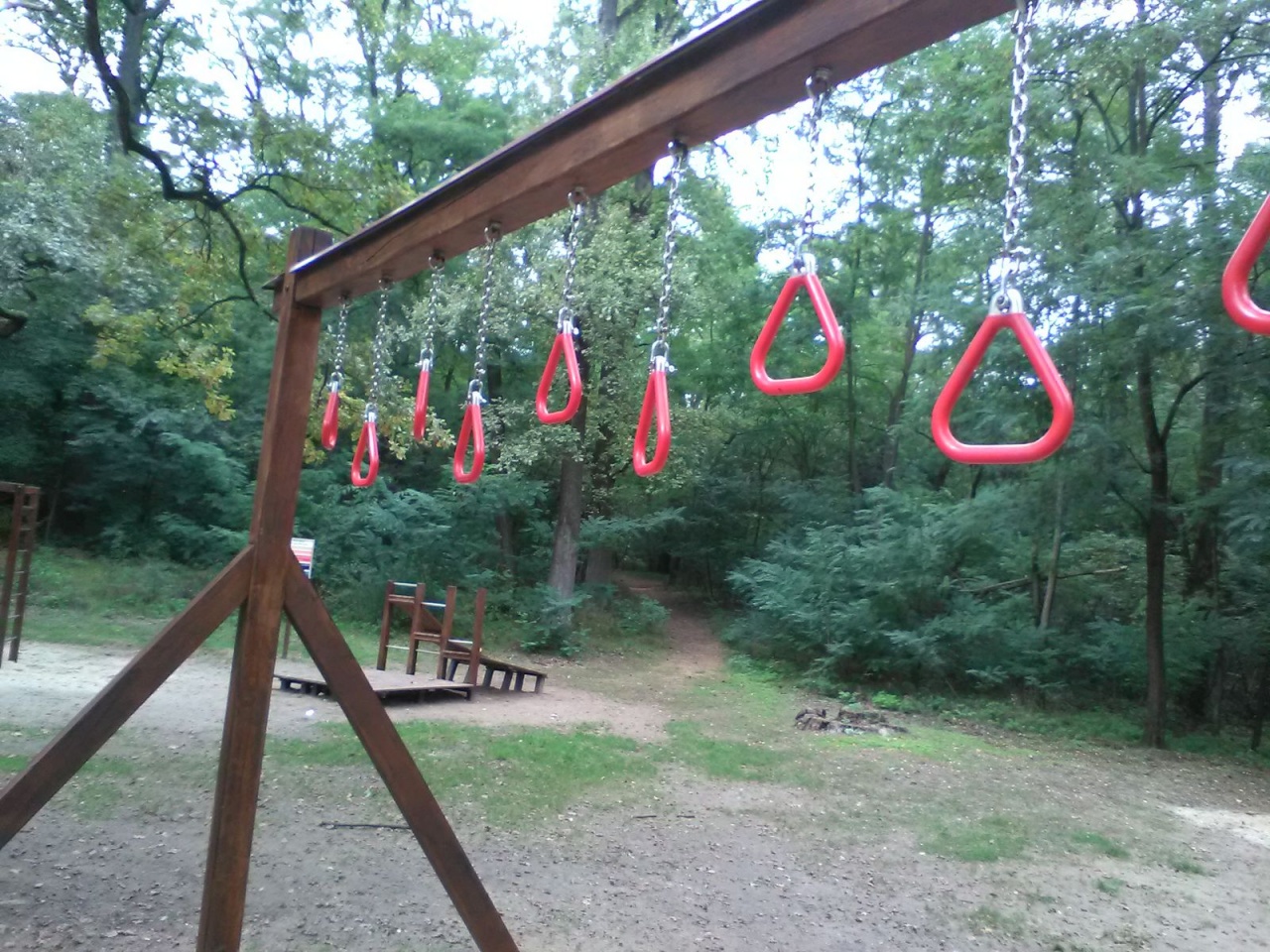 Újra vár az erdei tornapálya