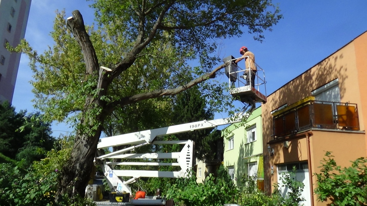 Elmúlt a balesetveszély