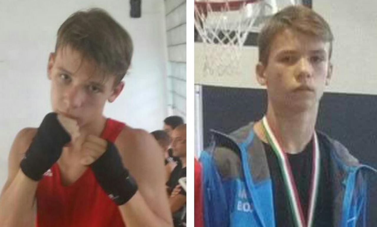 Bronzérmes ökölvívó