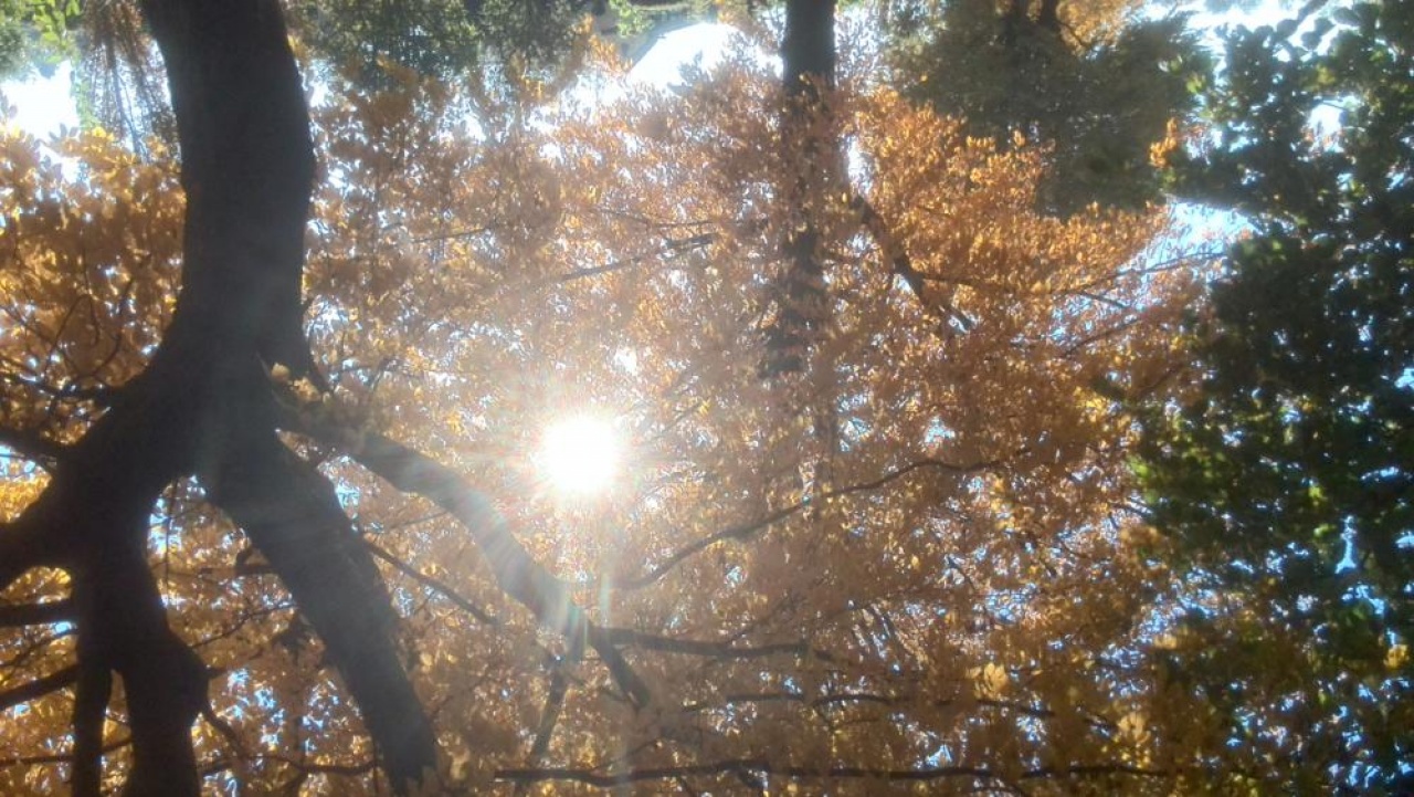 Egyelőre várni kell a vénasszonyok nyarára