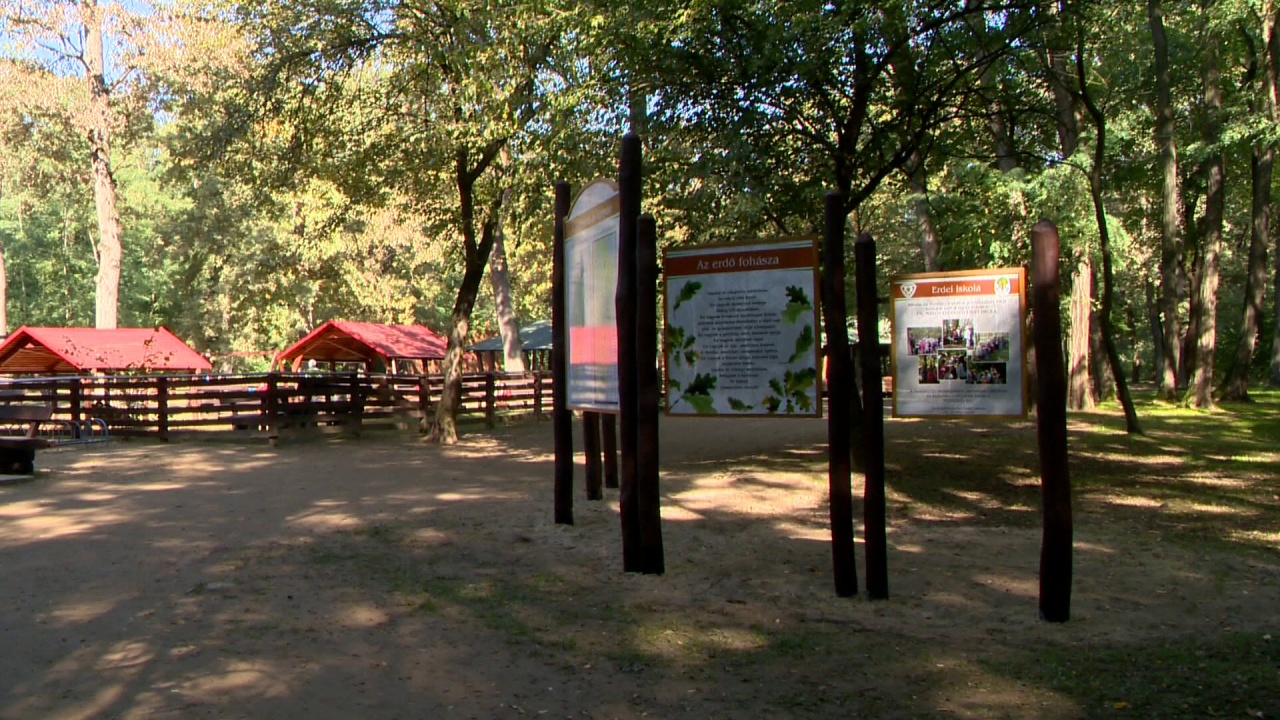 Felújított tornapálya – korszerű eszközök