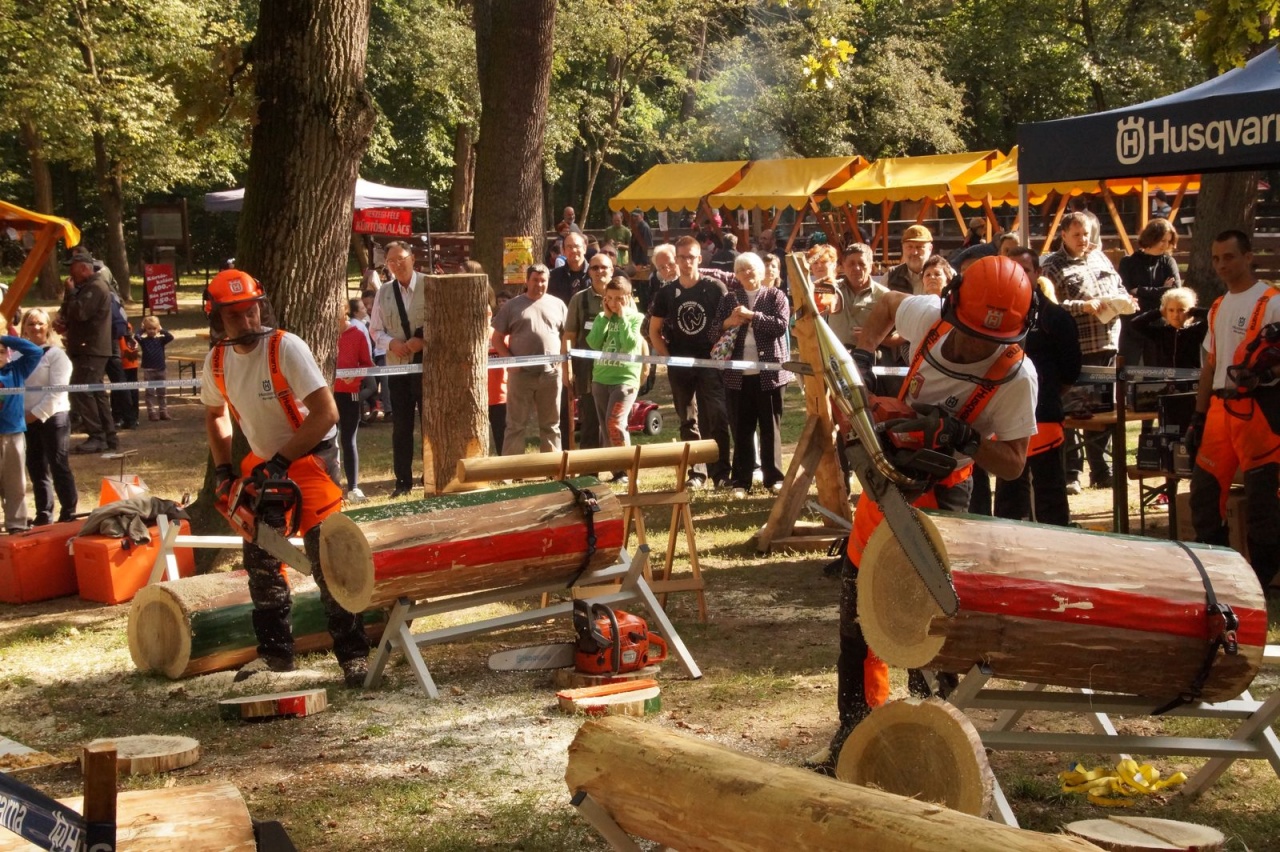 Rekordlétszám a NYÍRERDŐ Napon