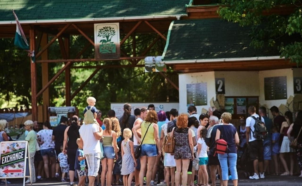 Ingyen várják szerdán a nyugdíjasokat az állatparkba