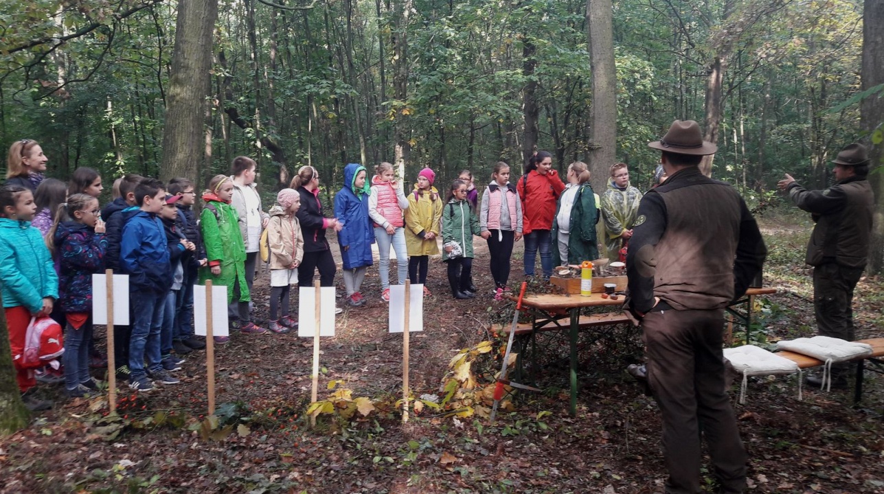 Felfedezték az erdőt az erdészekkel