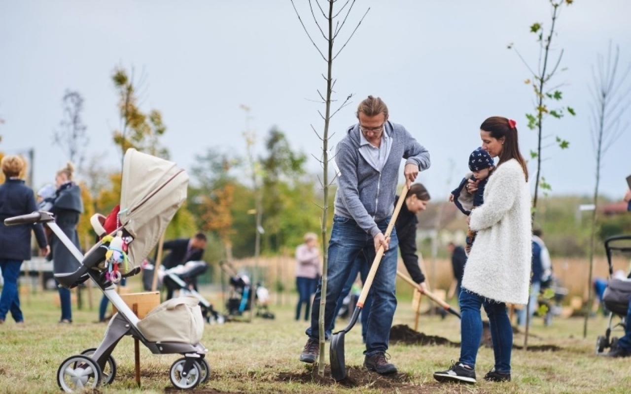 Hetven bébi kapott facsemetét Nyíregyházán