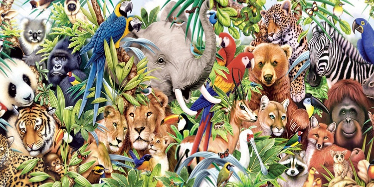 Elszabadult állatok a Városmajorban