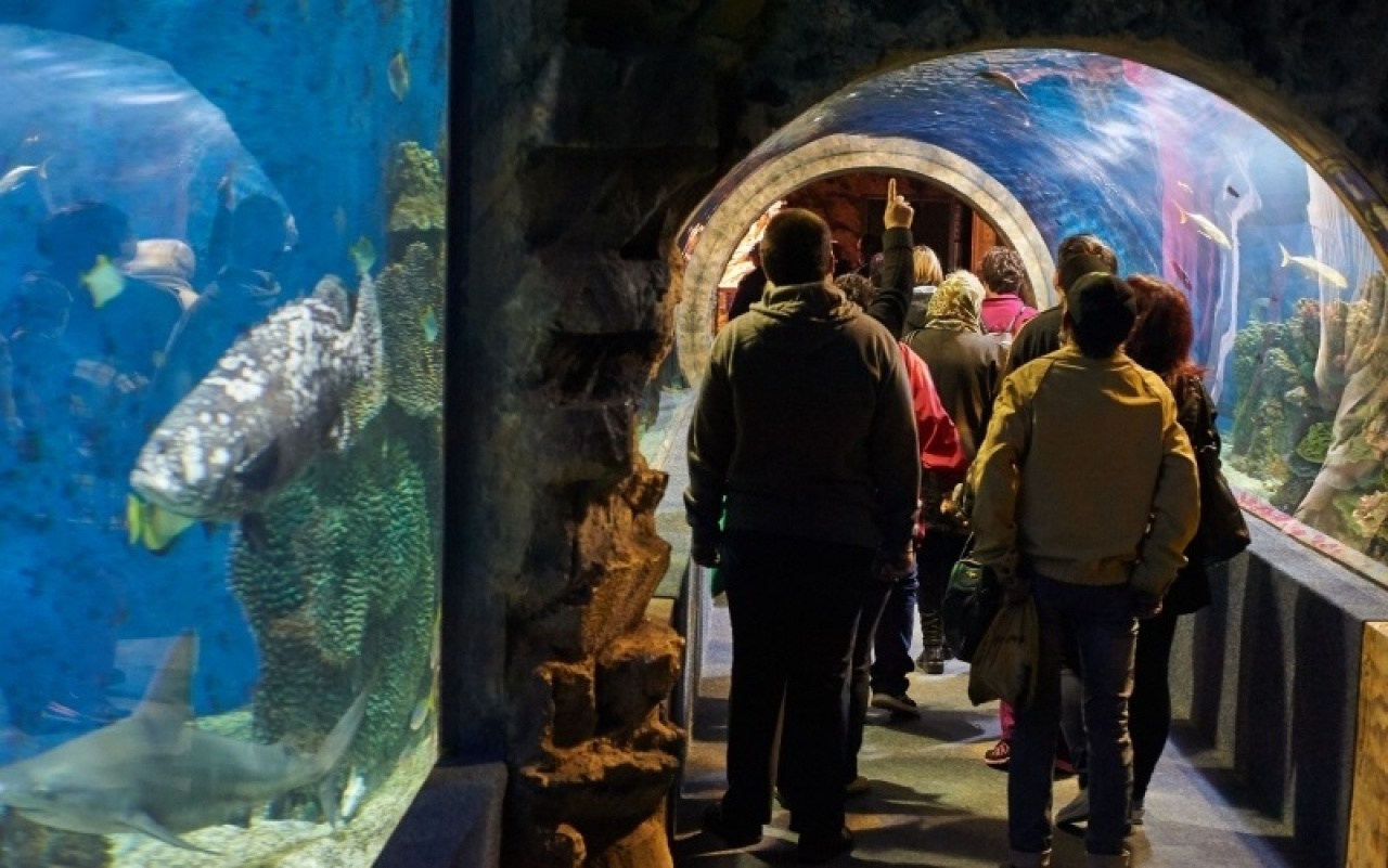 Ajándék a nyugdíjasoknak