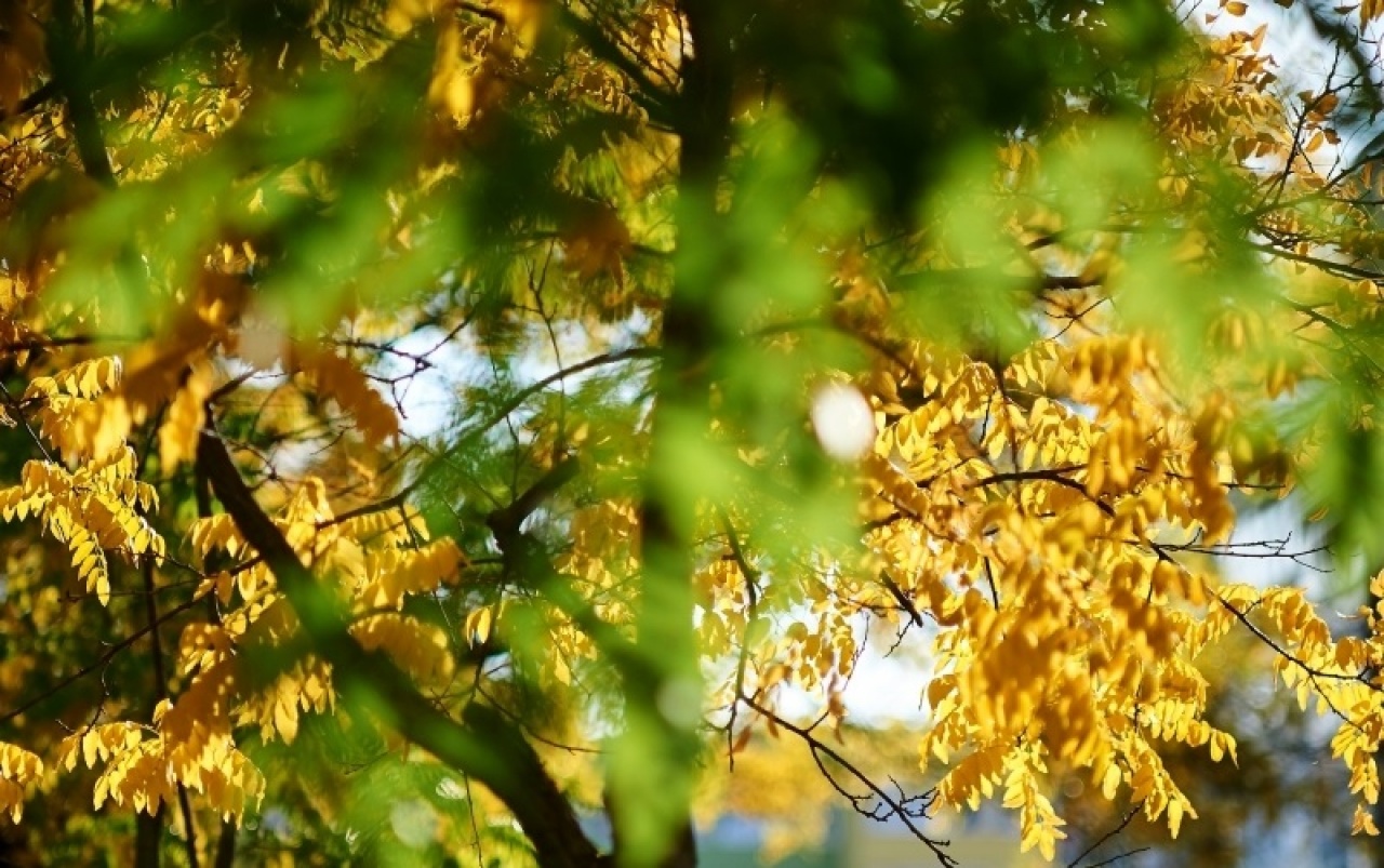 Párás, ködös reggelek, napos délutánok