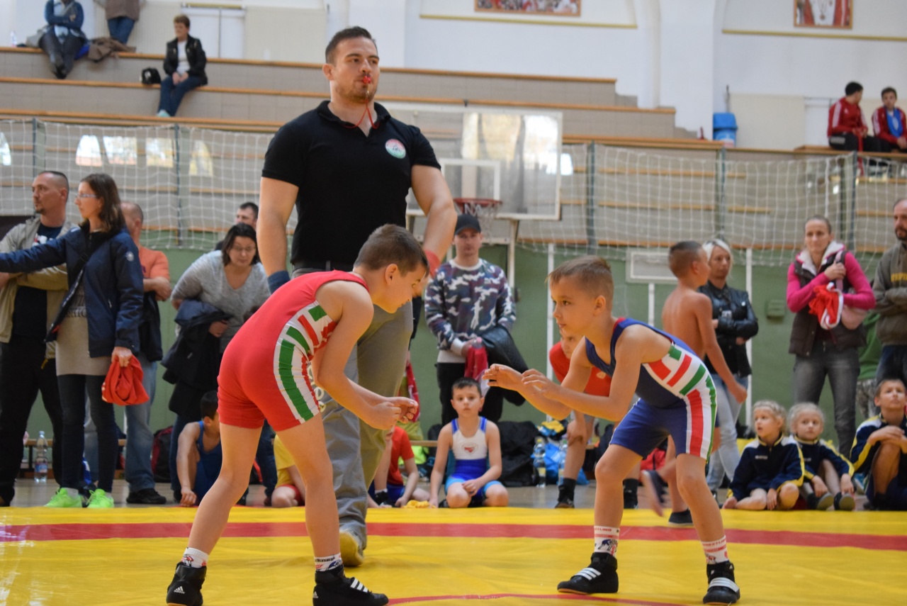 Területi bajnokság