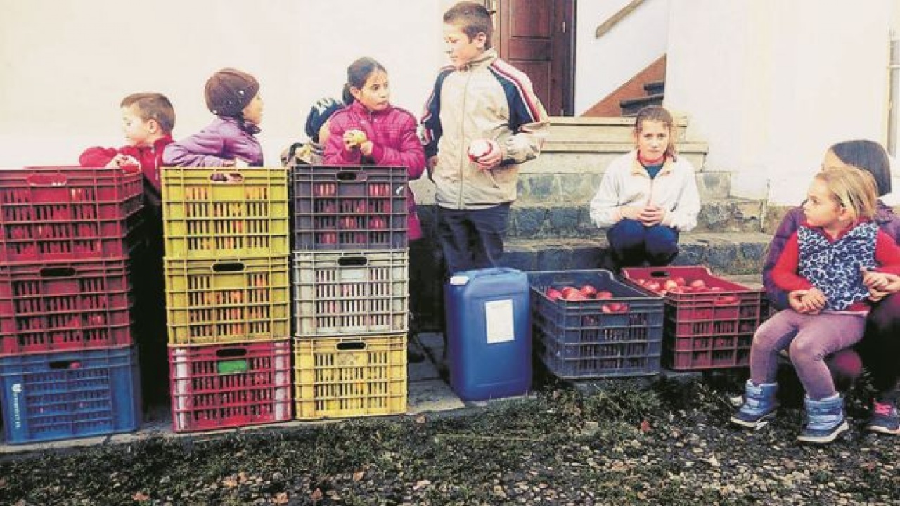 Erdélyi árváknak gyűjtenek