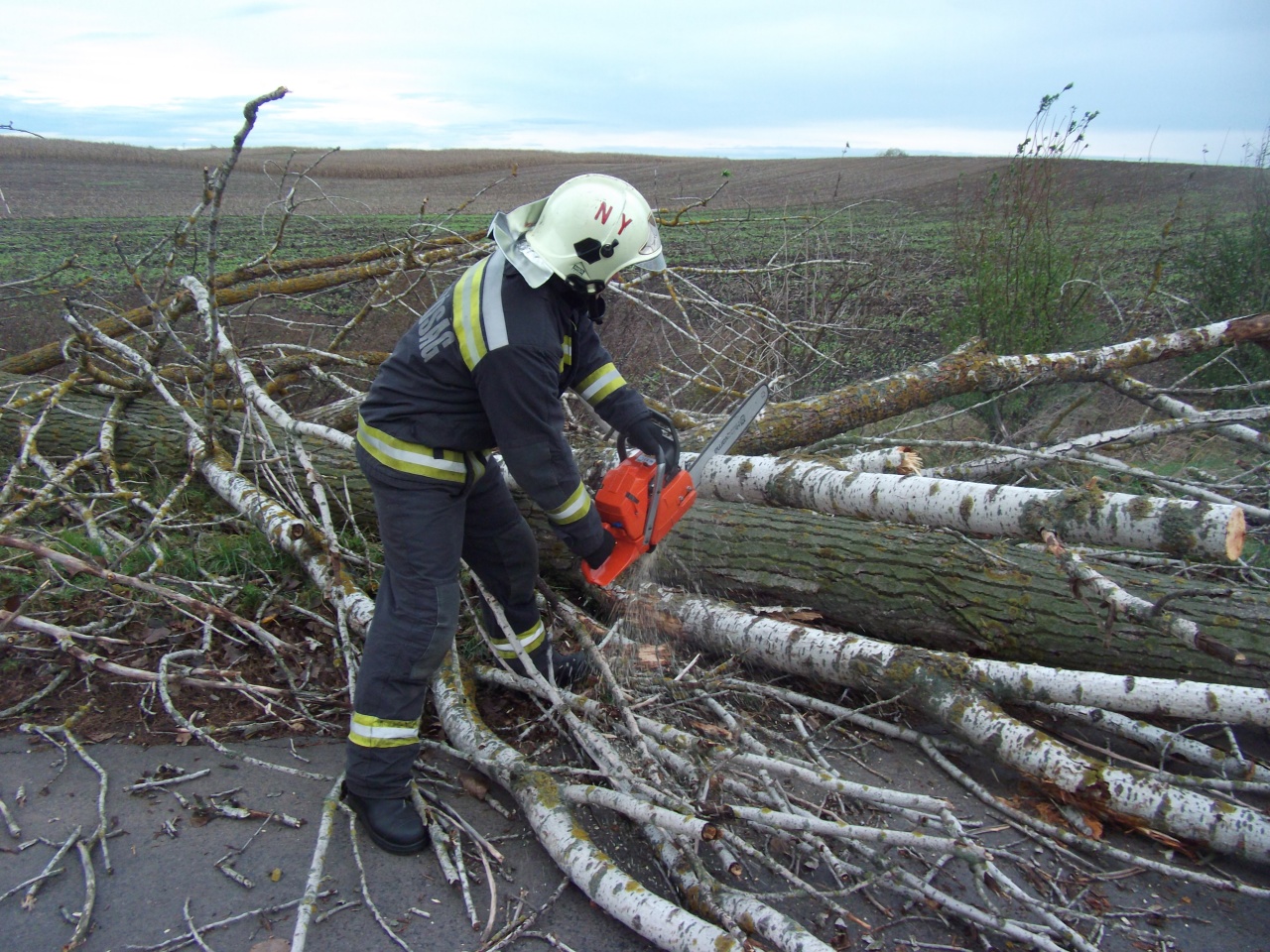 Úttestre dőlt fákhoz vonultak a tűzoltók