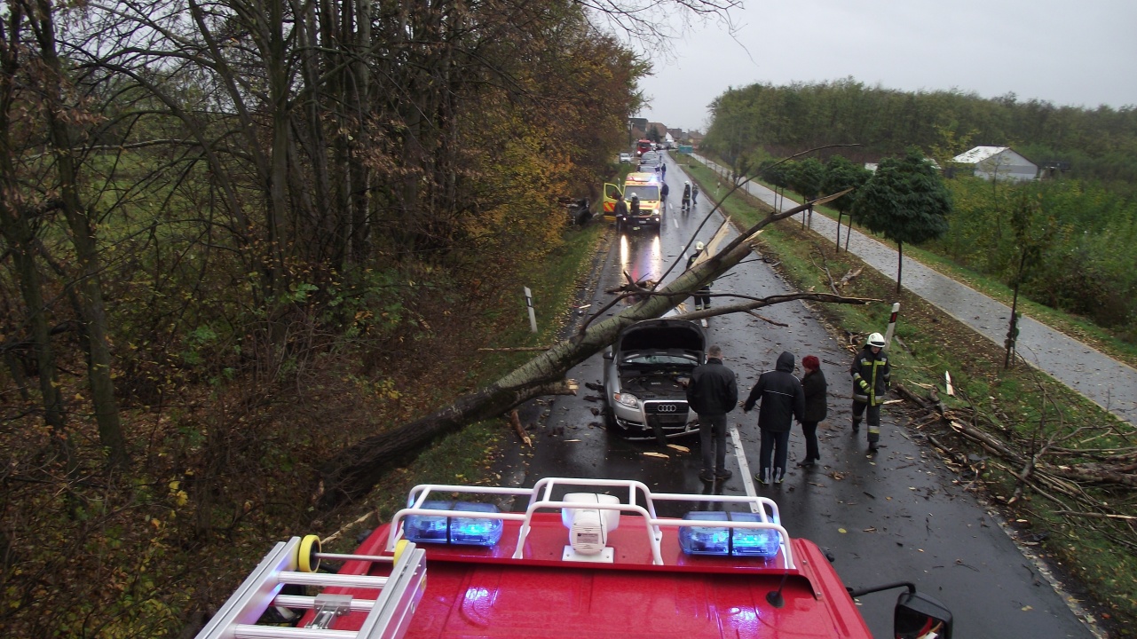 Személygépkocsira dőlt menet közben egy fa – Négyen megsérültek