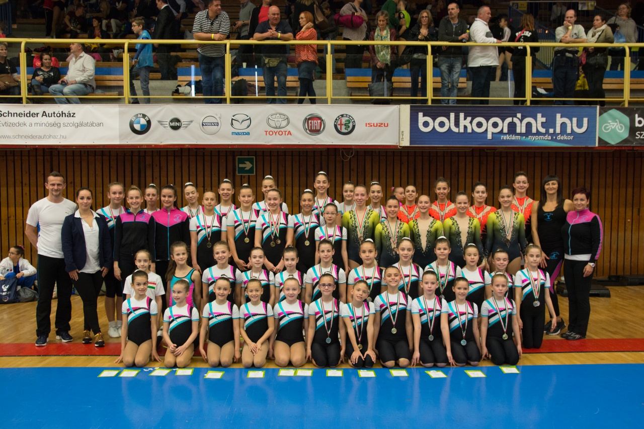 Nyolc érem a döntőben