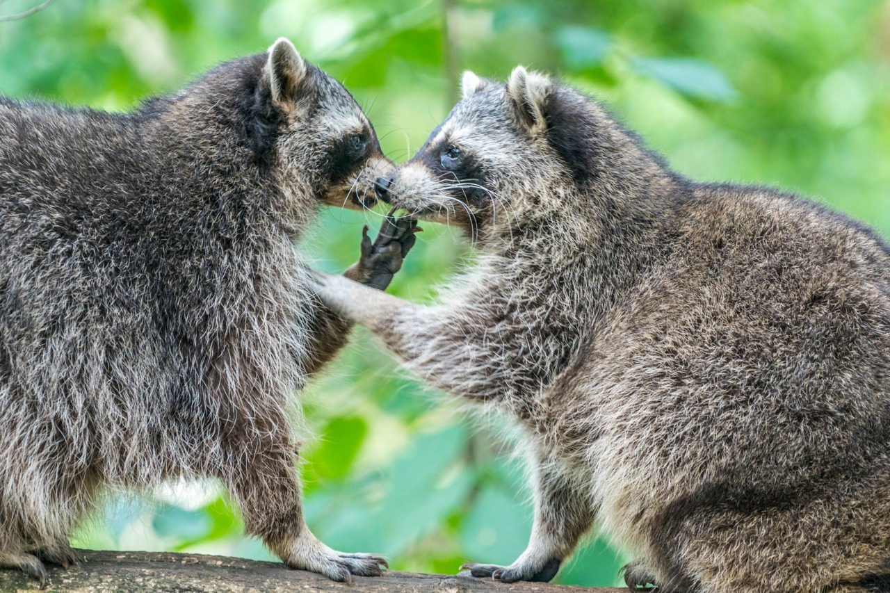 A legjobb hazai állatkert a miénk!