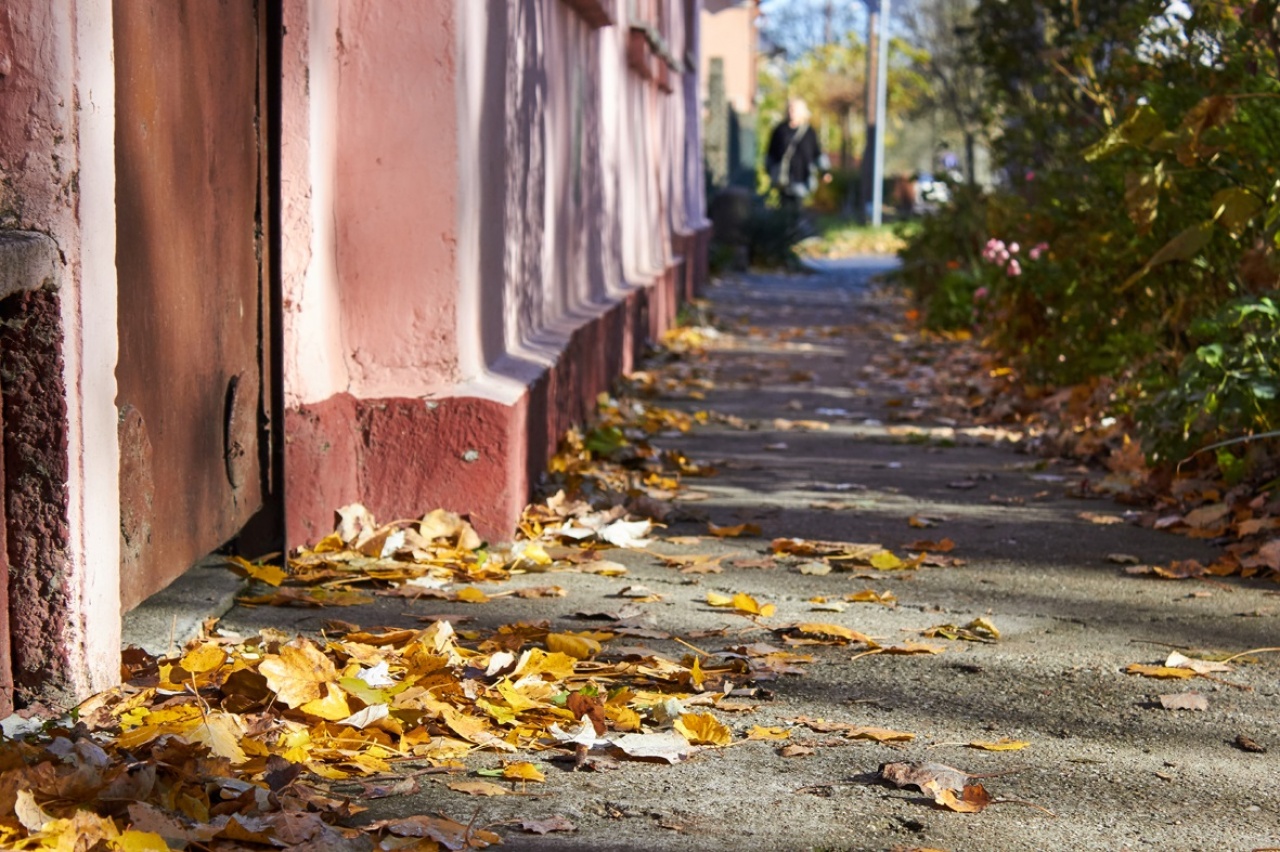 Büntethetik a gazdátlan gazdákat