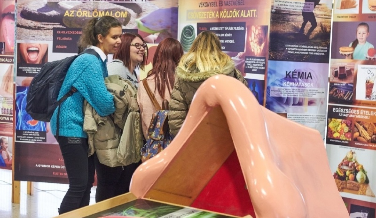 „Testünk a csoda” – Interaktív kiállítás központi témája lett az emberi szervezet