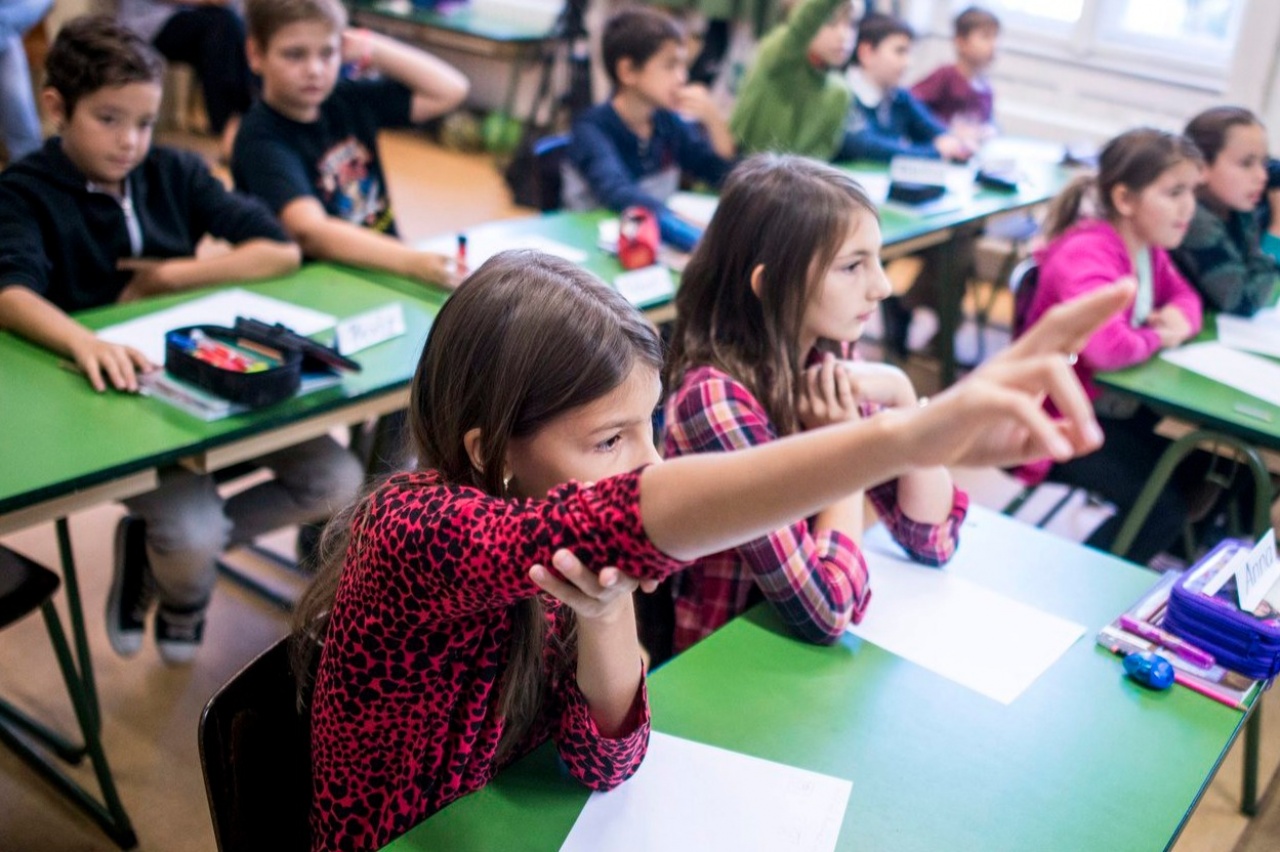 Minden eddiginél jobb eredményt értek el a magyar diákok