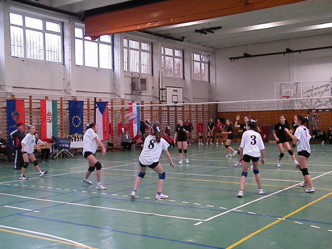 Móricz Kupa - 24. alkalommal rendezik meg a hétvégén a rangos röplabda tornát