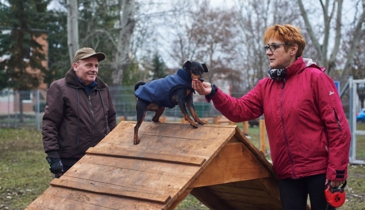 A kutyafáját! – Kutyafuttatóval gazdagodott a Malomkert