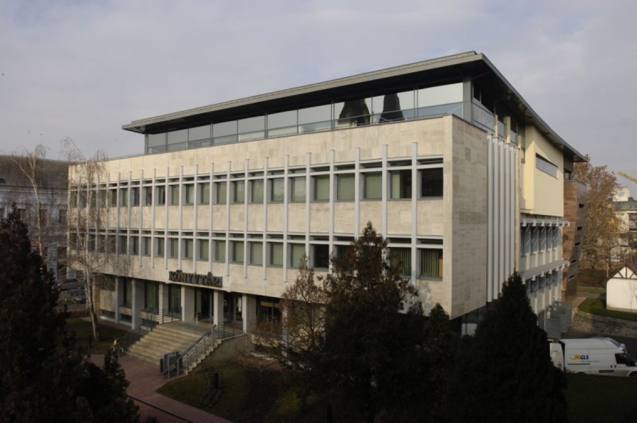 Tükörbe pottyant arc