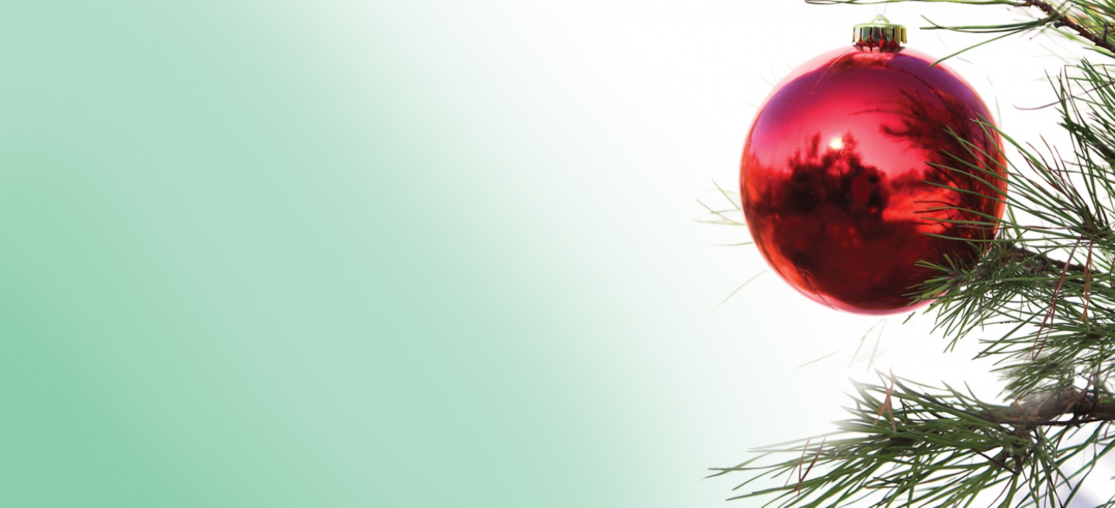 2018-ban is olvassák a Naplót!