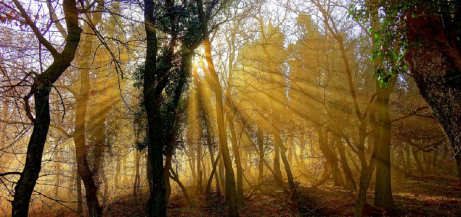 Visszatérhet a 10-12 fokos január