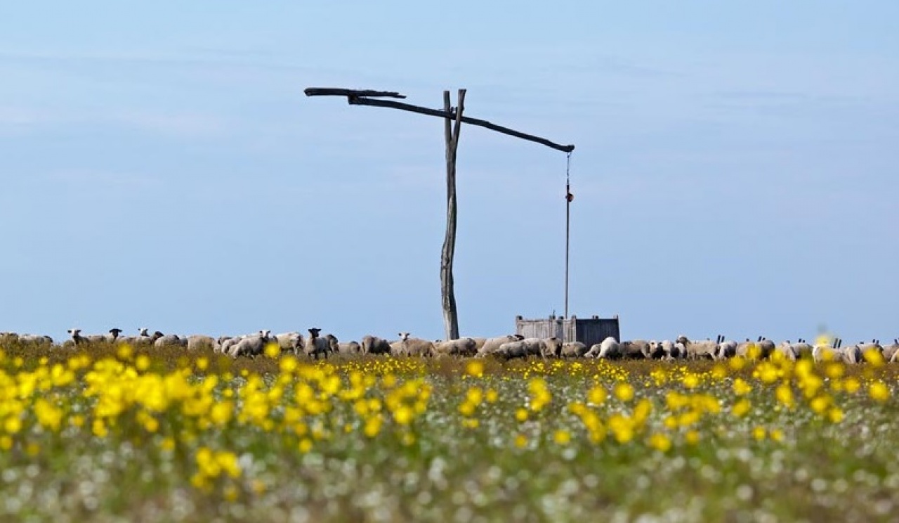 A Hortobágyi Nemzeti Parkért közösen 