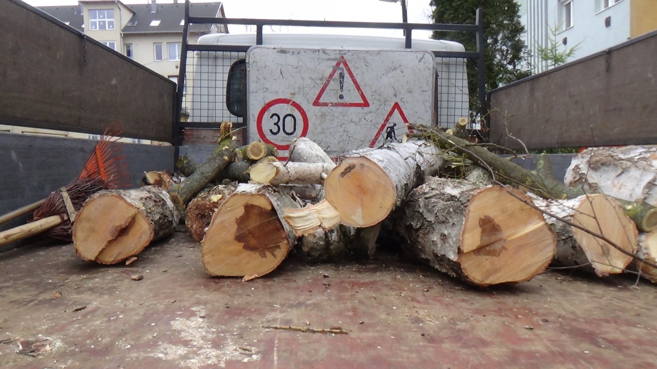 Gallyazási munkálatokat végeztek a Vécsey közben