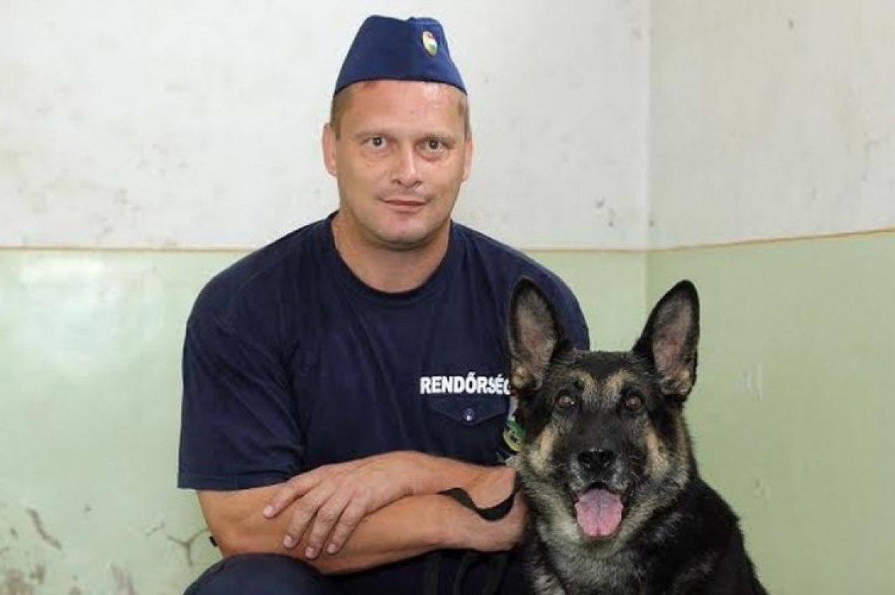 Szabolcsi nyomkövető szolgálati kutya segítette a rendőrök munkáját