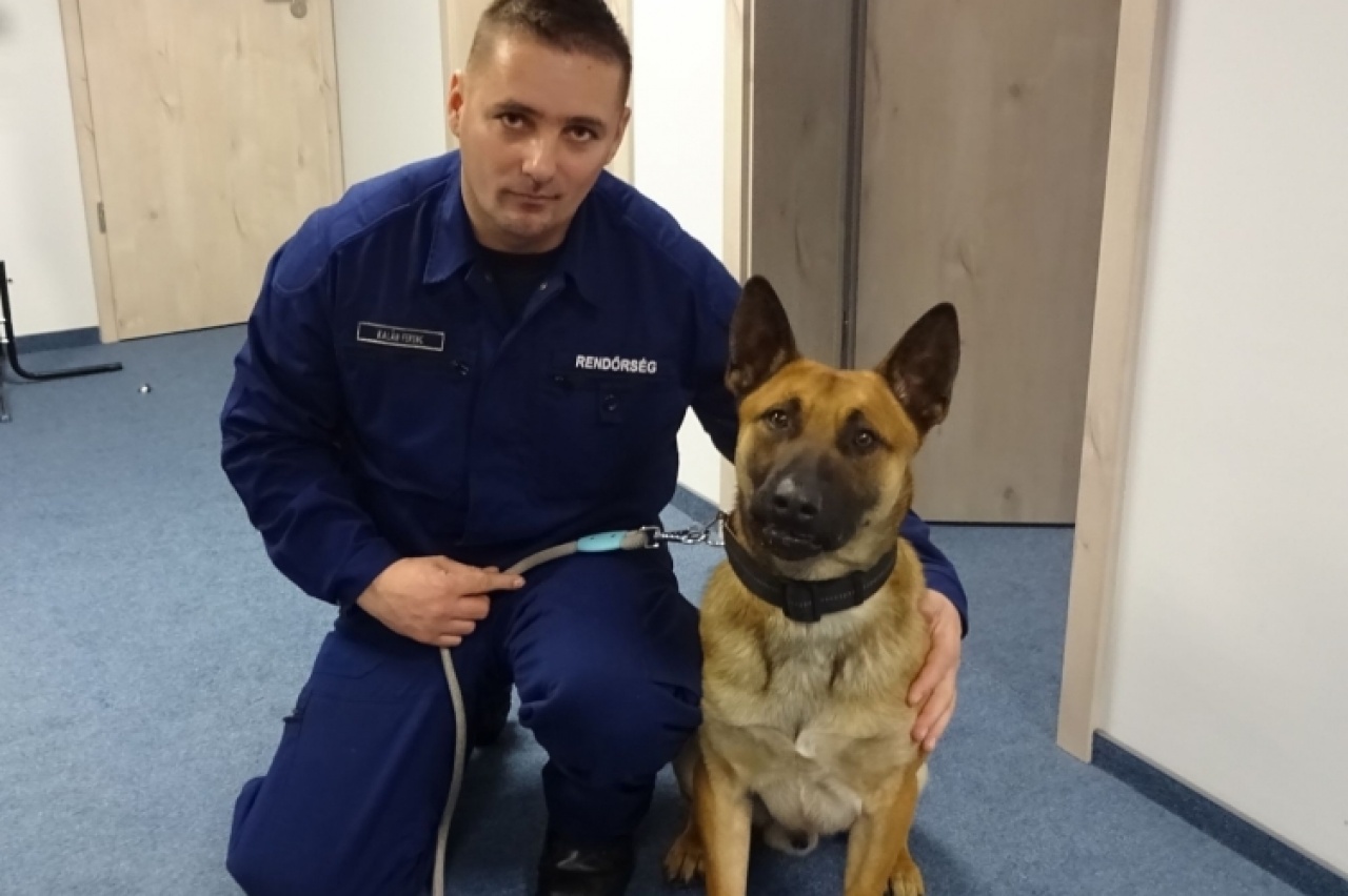 Lezárt ügy: Rock megtalálta