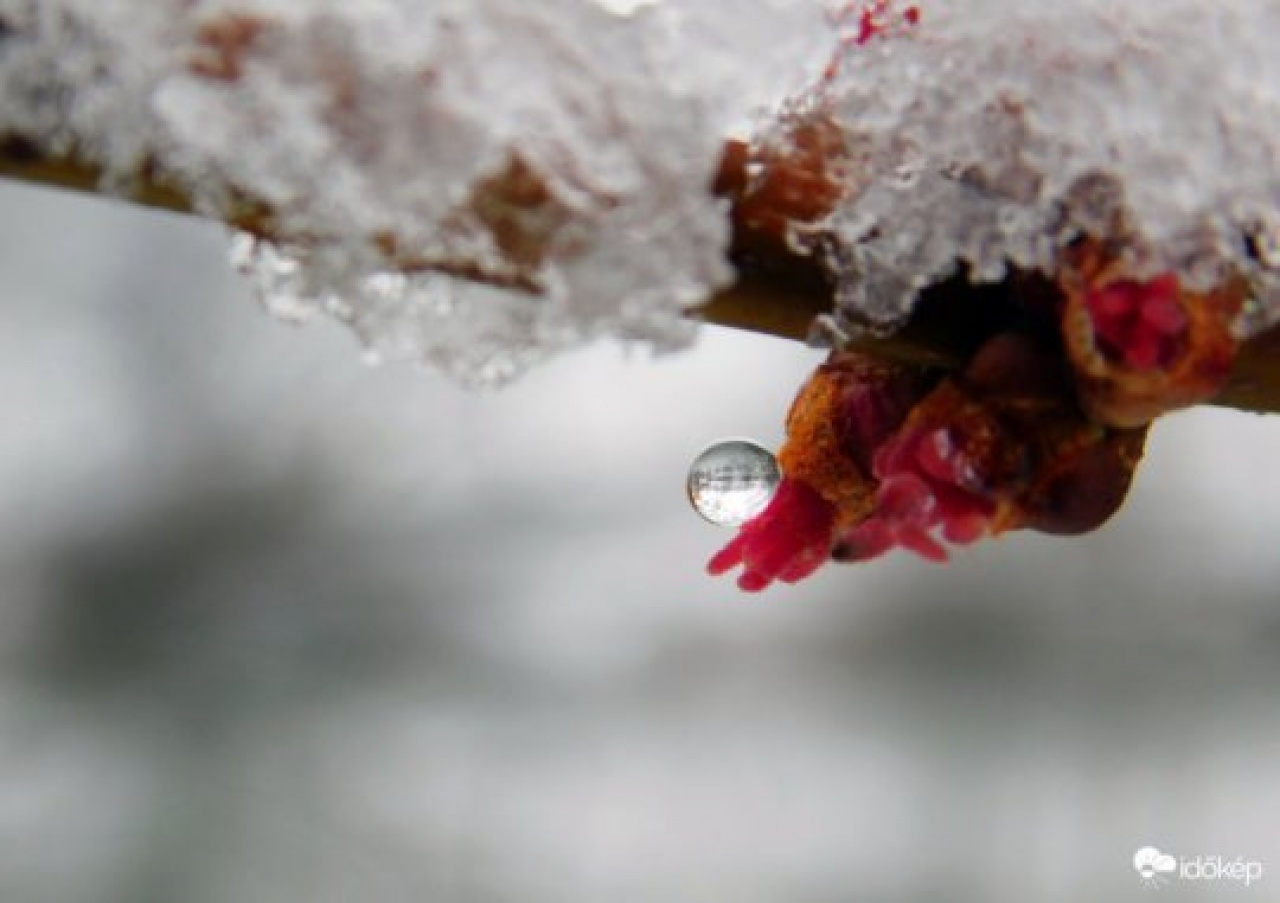 Ez történt februárban – Országos havazással és kemény mínuszokkal zártuk a telet