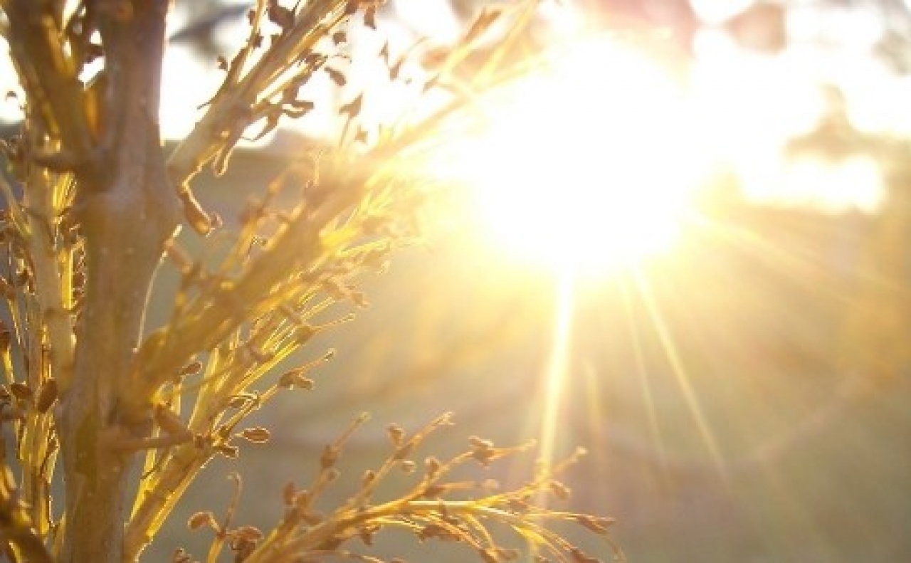 10 fokos kontrasztot hozott a Nőnap