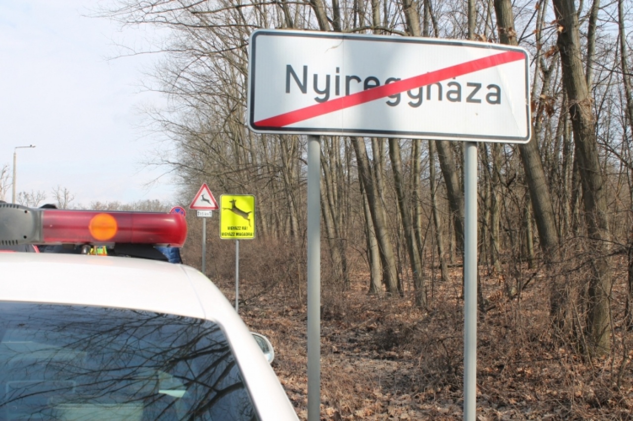 Cél: a vadbalesetek megelőzése