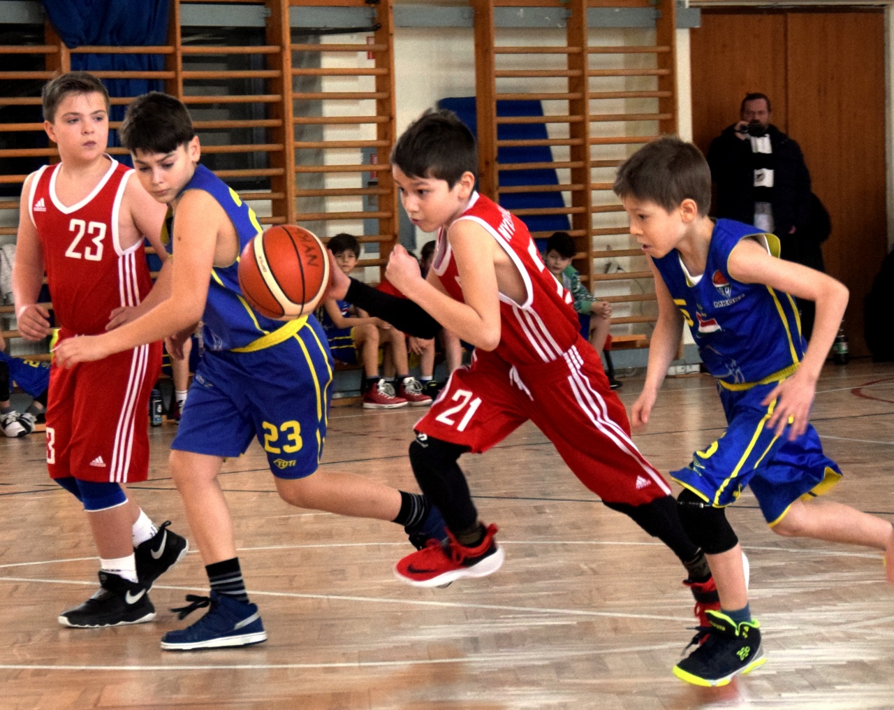 Nagyot ugrottak a Kenguruk - folytatták jó szereplésüket a legkisebb kosarasok