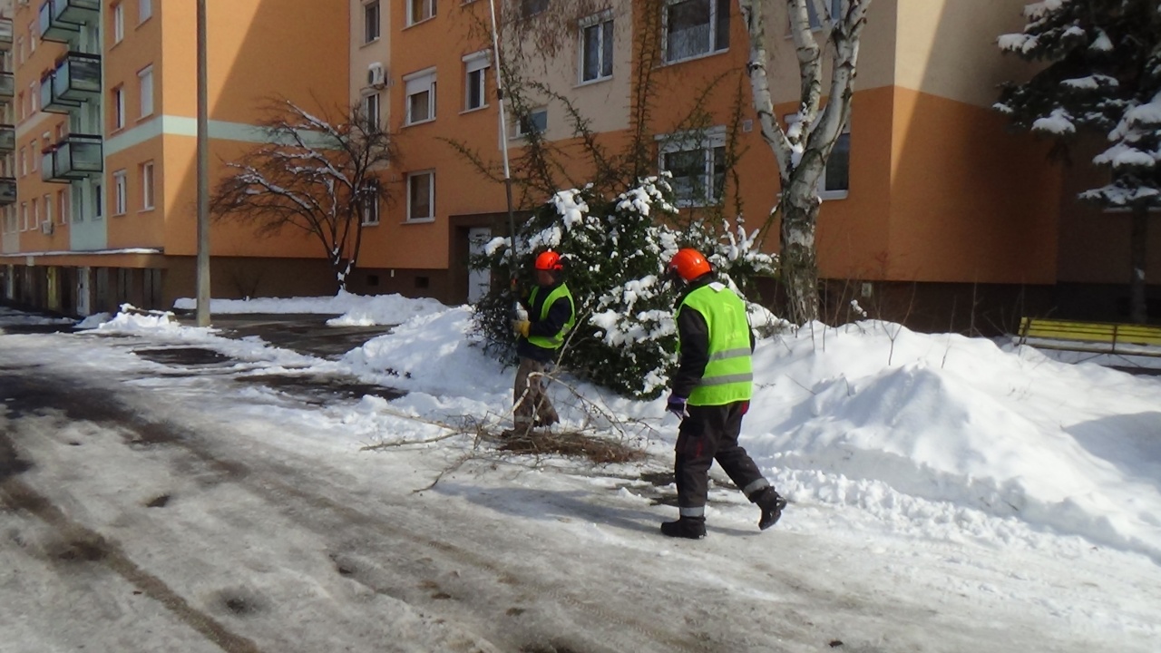 Gallyazási munkálatokat végeztek a NYÍRVV munkatársai az Ószőlő utcán szerda délelőtt
