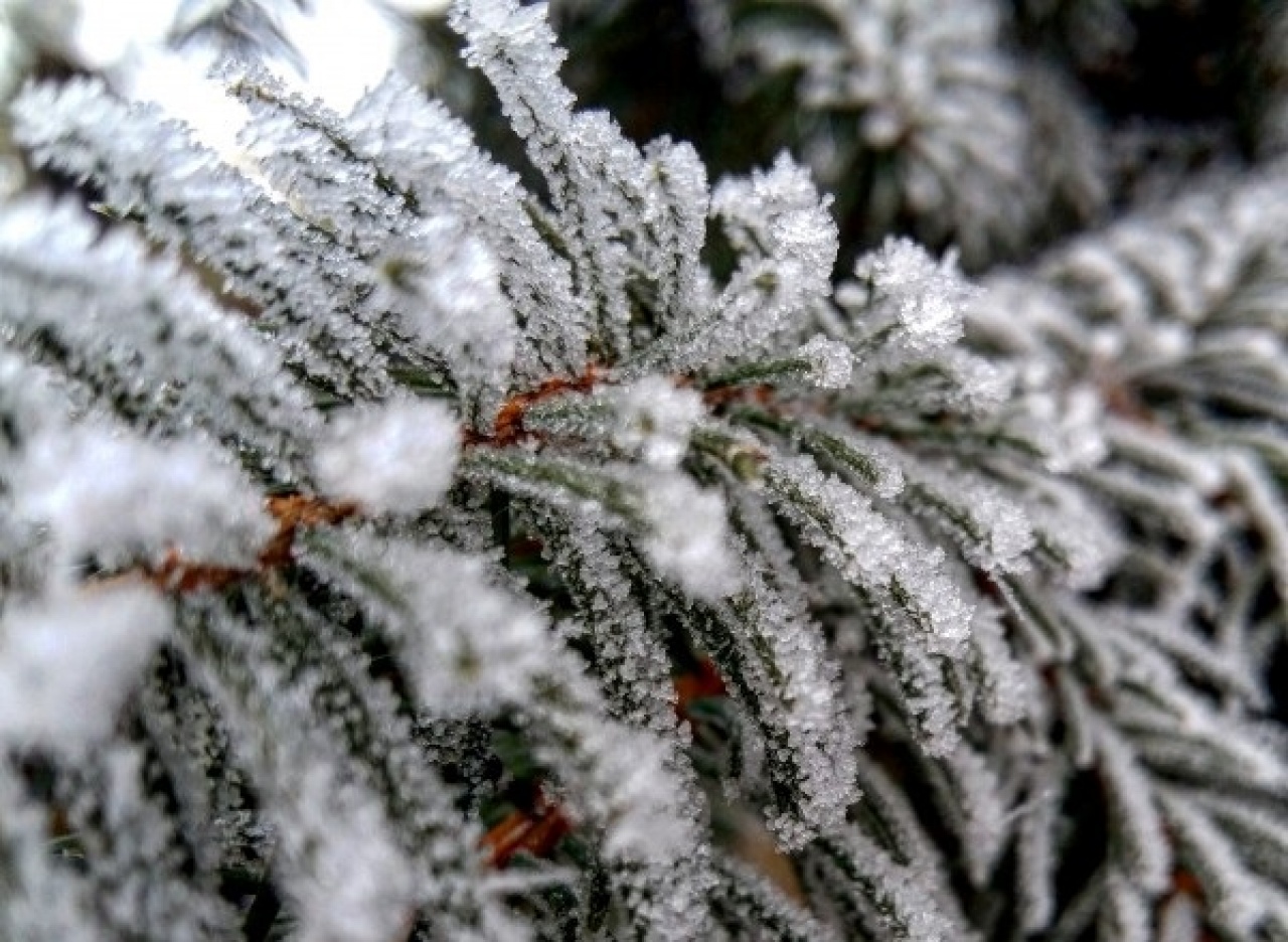 -15,2 fokkal dőlt hidegrekord Nyírlugoson