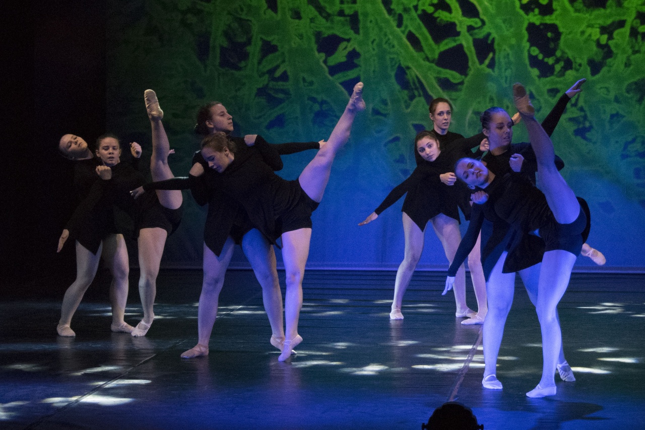 Teltházas táncesttel ünnepelt a RE-flex Moderntánc Stúdió