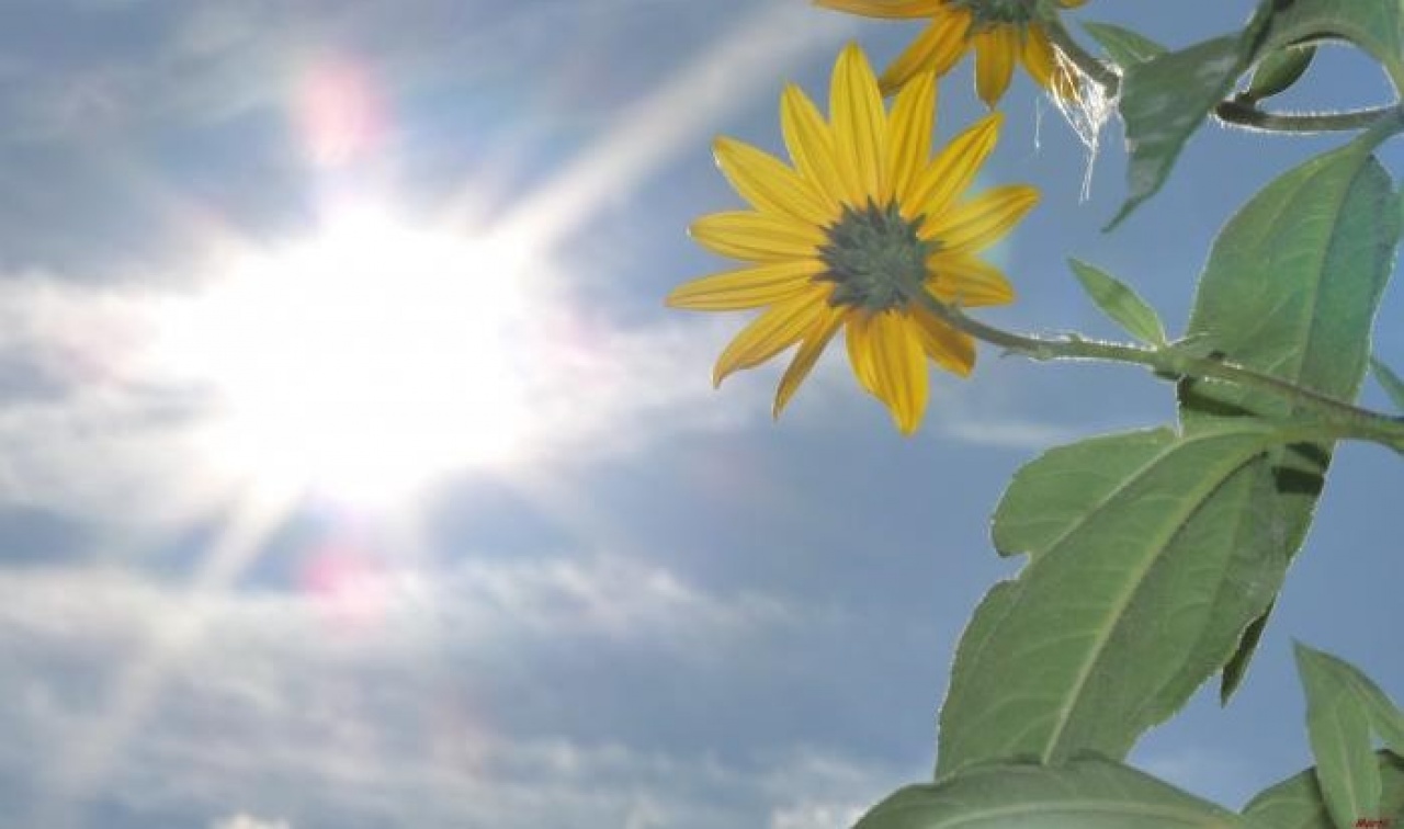 Sok napsütés és 20 fok körüli meleg várható a héten