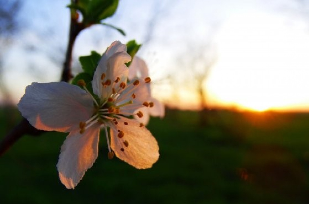 Budapesti és majdnem országos rekord is dőlt